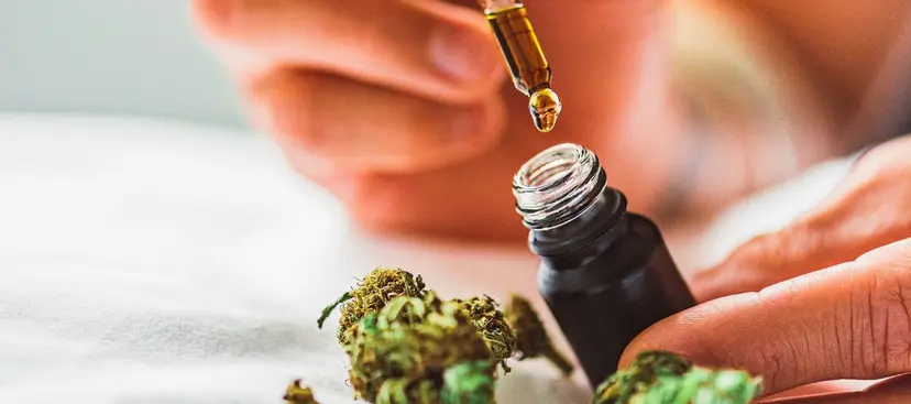 Cannabis extracts CBD Pattaya delivery