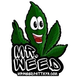 Mr Weed Pattaya