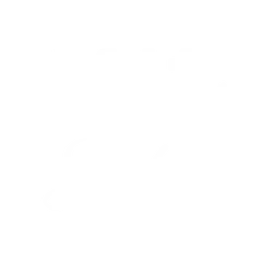 M11 Labs