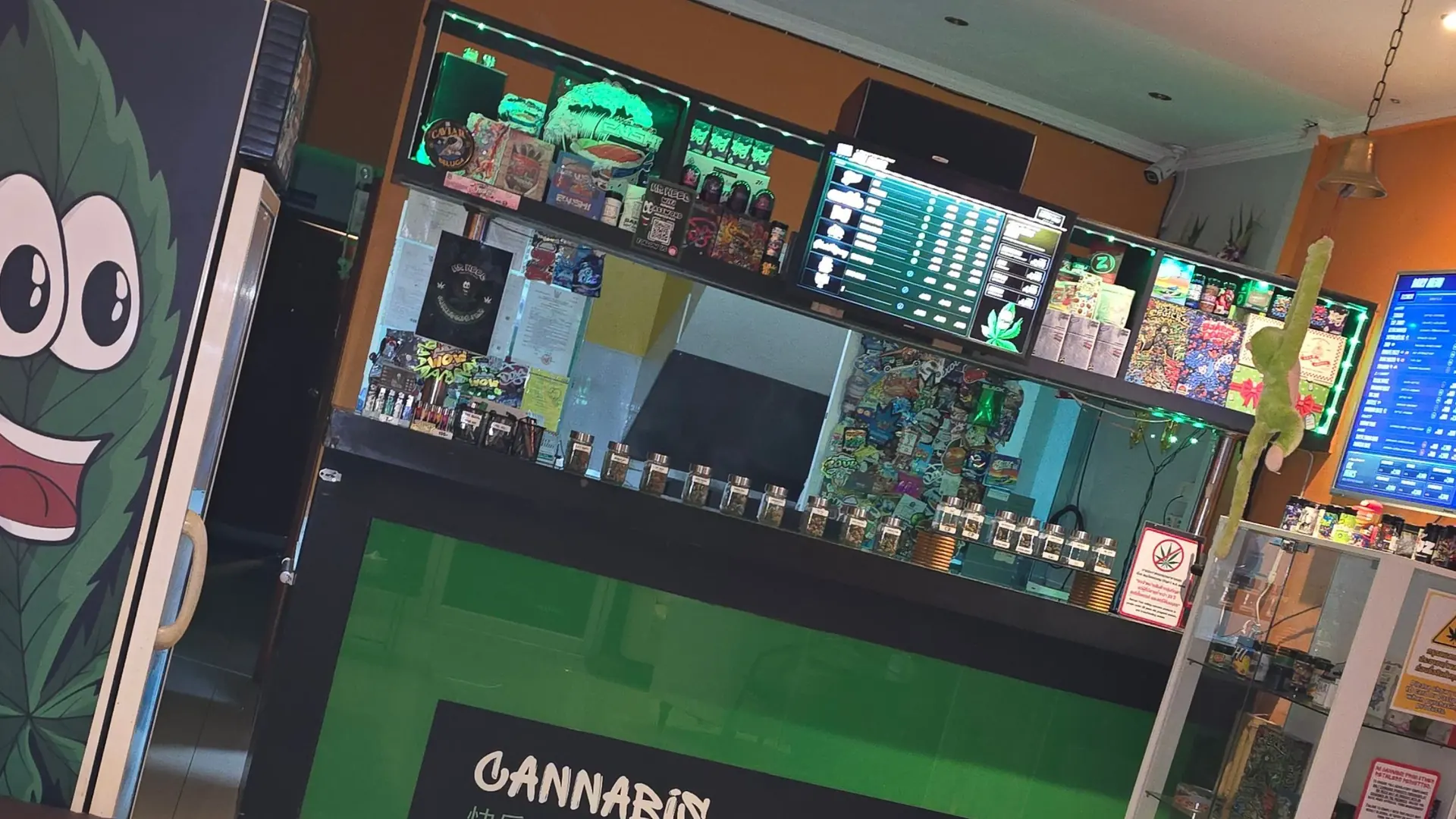 Mr Weed Pattaya dispensary counter with menu boards, glass jars of premium flower and Cali packs on display