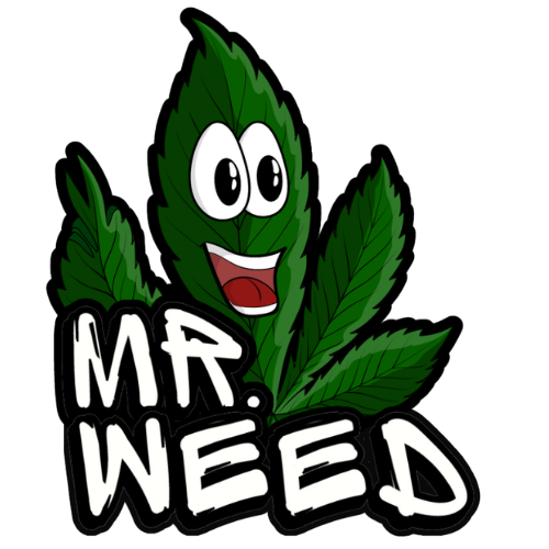 Mr Weed Pattaya